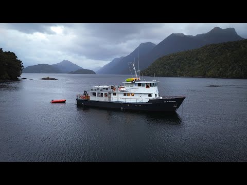Видео: 4 дня в отдаленном Даски-Саунде, Фьордленд