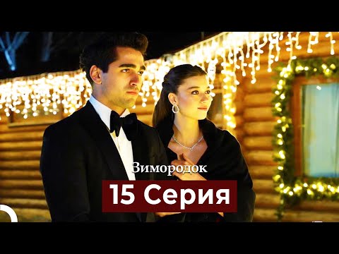 Видео: Зимородок 15 Cерия (Русский дубляж)