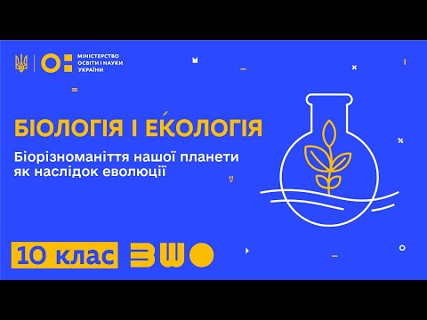 Видео: 10 клас. Біологія. Біорізноманіття нашої планети як наслідок еволюції