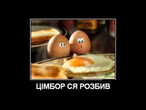 Видео: Цімбори_Муй друг.