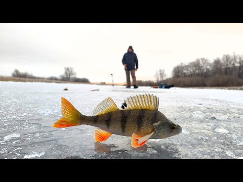 Видео: ПЕРВЫЙ ЛЕД 2025 ОТКРЫТИЕ ловля окуня на балансир