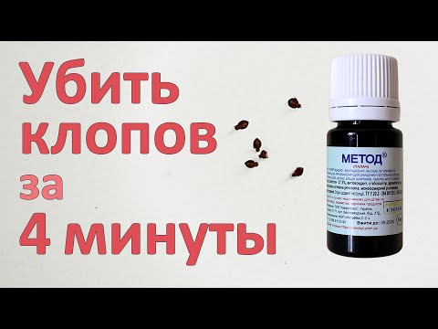 Видео: Это средство убило клопов за 4 минуты: Метод для уничтожения постельных клопов в квартире