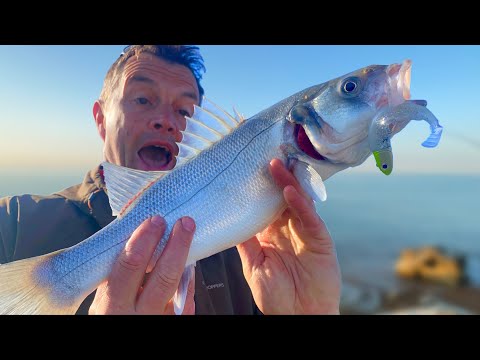 Видео: 10 советов, как поймать больше окуня на приманку