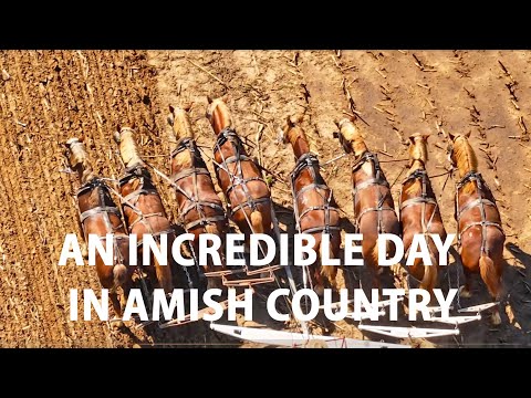 Видео: Один НЕВЕРОЯТНЫЙ день в СТРАНЕ АМИШЕЙ Во время УРОЖАЯ... Лошади, лошади и еще больше лошадей.