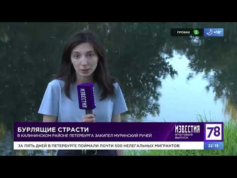 Видео: В Калининском районе Петербурга закипел Муринский ручей