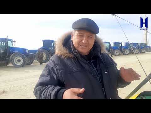 Видео: Арал теңизиниң қурыған ултаны жасыл аймаққа айланады