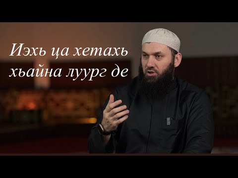 Видео: П1ераскан хьехамаш! Эхь ца хетахь Хайна Луург де! Сайд-1али Варандо