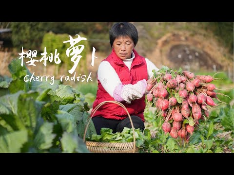 Видео: Редис хрустящий и вкусный в салатах.
