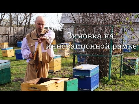 Видео: Зимовка на инновационной рамке