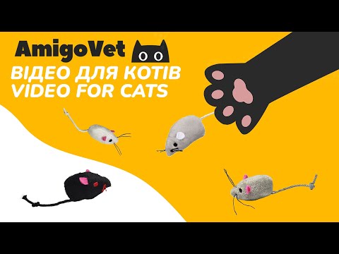 Видео: CAT GAMES - ГРА ДЛЯ КОТІВ ВІД AMIGOVET