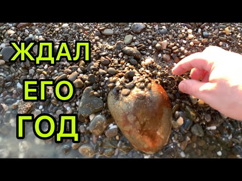 Видео: 🌊⚜️ЗОЛОТО 2023 !!! НАКОНЕЦ-ТО ВЫКОПАЛ ! ДОЛГОЖДАННАЯ НАХОДКА В СКУПЕ ! КОП с Equinox 800 и CoilTek !