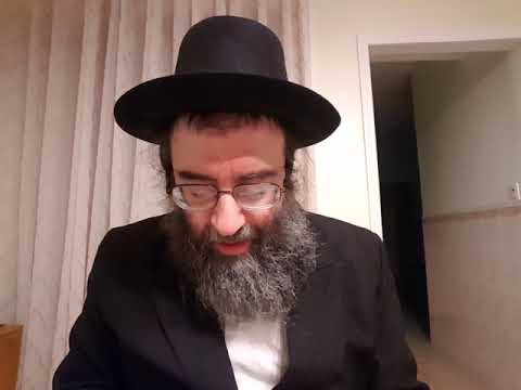 Видео: Комментарий ГР"А к Дивре Аямим - 4