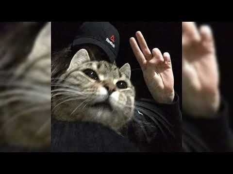 Видео: JANAGA — Что тут потеряла ты (лезгинка)(slowed by Vitaha)