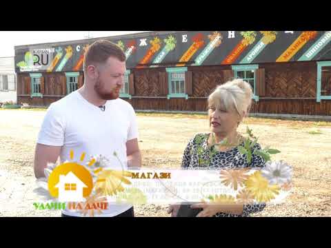 Видео: Вы точно этого не знали: как заставить жимолость дать большой урожай