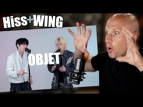 Видео: Первая реакция и вокальный анализ Hiss, WING - Objet (BEATBOX)