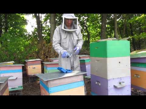 Видео: Пчеловодство ( рефрактометр для меда)