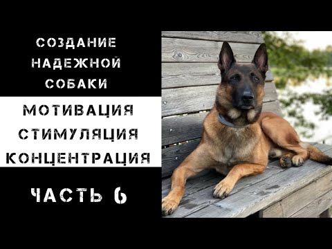 Видео: Мотивация, стимуляция, концентрация. Часть 6.