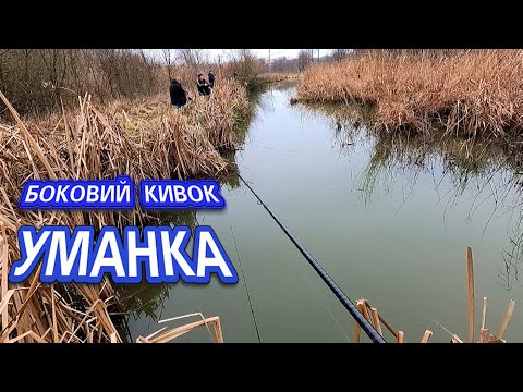 Видео: ЦЯ МІКРОРІЧКА КИШИТЬ РИБОЮ! Рибалка на боковий кивок взимку