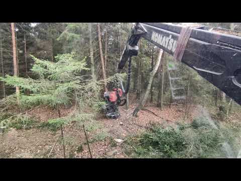 Видео: KOMATSU 931 Я снова в лесу!