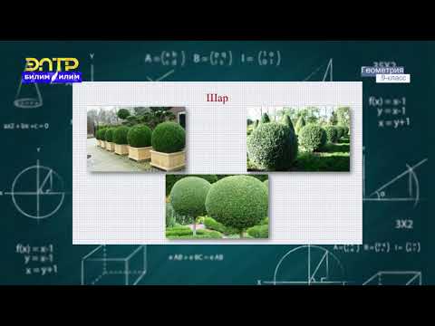 Видео: 9-класс | Геометрия | Айлануу телолору, цилиндр, конус, сфера