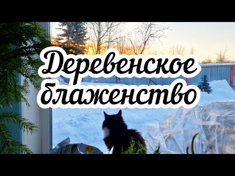 Видео: Деревенское блаженство 🏠🌲 Обзор бани 💨