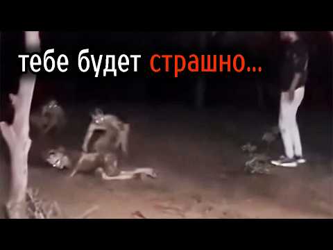 Видео: Наконец ОНО Попало на Камеру!!! Топ Самых страшных видео