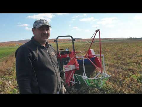 Видео: Копалка Pashin Копка  гектара картофеля!