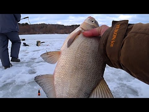 Видео: Зачётный ЛЕЩ на мормышку! Ловля ЛЕЩА зимой ! Рыбалка на Оке!