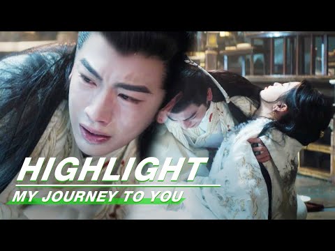 Видео: Highlight EP16: Юнь Вэйшань был отравлен, Гун Цзыюй горько плакала | Моё путешествие к тебе | 云之羽...