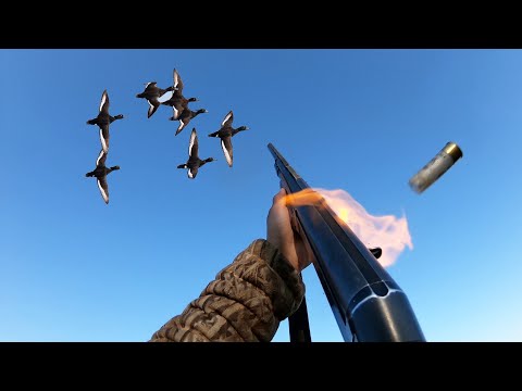 Видео: ОХОТА НА ТУРПАНА НА КОЛЫМЕ 2023. 2 СЕРИЯ. HUNTING FOR VELVET SCOTER IN SIBERIA. KOLYMA. PART 2