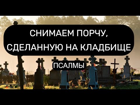 Видео: СНИМАЕМ КЛАДБИЩЕНСКУЮ ПОРЧУ. ОТЧИТКА