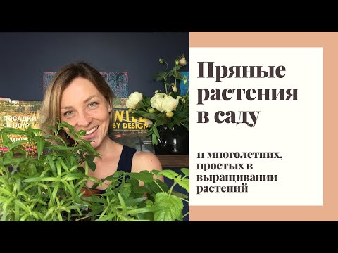 Видео: Пряно - ароматические растения в саду