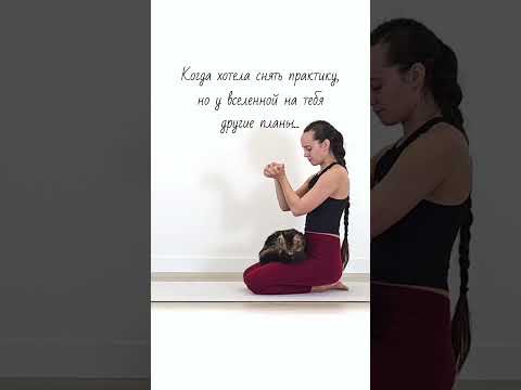 Видео: Смотри со звуком 😉