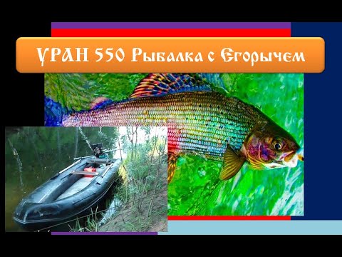 Видео: Рыбалка с Егорычем Миня Юхточка. Лодка Уран 550.