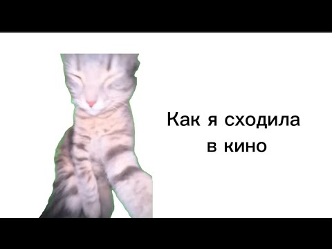 Видео: Как я сходила в кино| Мемные коты