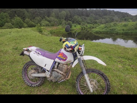 Видео: 193 км вдвоём на Yamaha TTR250 - возвращение через лес