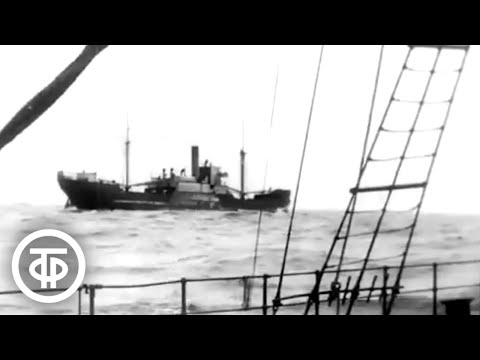 Видео: Перегон. О перегоне судов, построенных в Венгрии для СССР (1970)