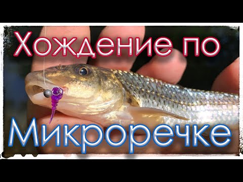 Видео: Хождение по Микроречке. Мормышинг. Black Adder Nano 0.3-0.8gr