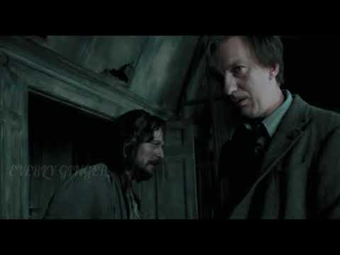 Видео: Алфавит с Римусом (Ремусом) Люпином