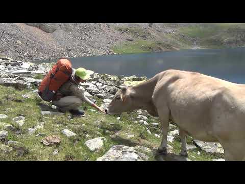 Видео: По Пиренеям перед соревнованиями.  Часть 2