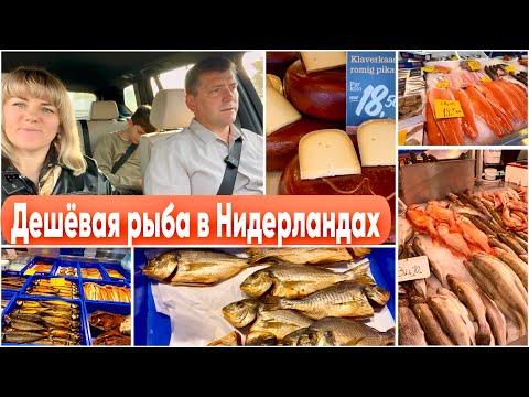 Видео: Рыбный Рынок в Нидерландах / Самая Вкусная Селёдка и Сыр / Обзор Цен / Эншеде Голландия 