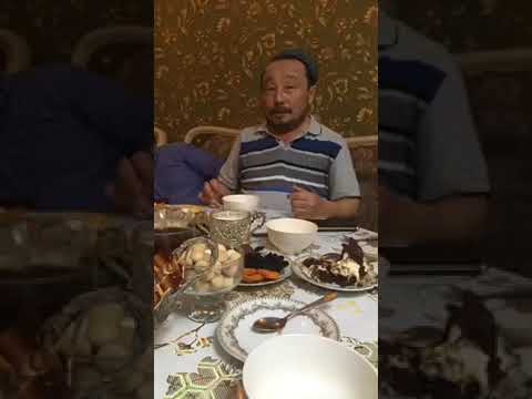 Видео: Жылқының пірі - қасқа ат