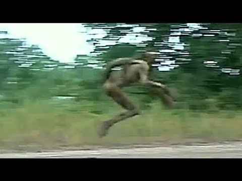Видео: Камера Видеонаблюдения Фиксирует То, Что Никто Не Должен Был Видеть / Топ 15