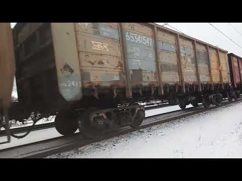 Видео: 5 ноября 2025 г.