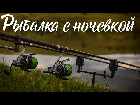 Видео: Рыбалка на карпа и крупного карася. Флэт кормушки. Лето 2025 #рыбалка #fishing #carpfishing