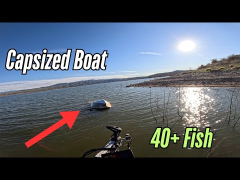 Видео: Это был сумасшедший день рыбалки на озере Аламо!