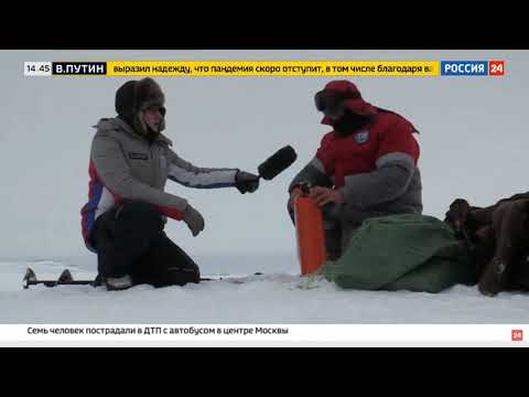 Видео: Снегоходы STELS приняли участие в комплексной экспедиции РГО на архипелаге Земля Франца Иосифа.