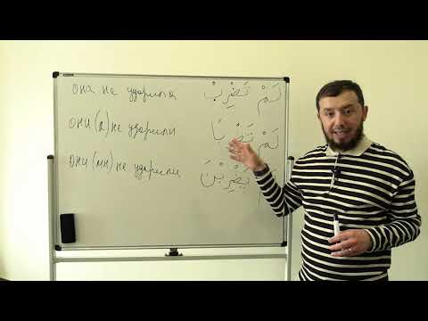 Видео: Сарф. Урок № 6. Спряжение глагола отрицания прошедшего времени لَمْ يَضْرِبْ. #сарф​​​​​ #АрабиЯ​​​