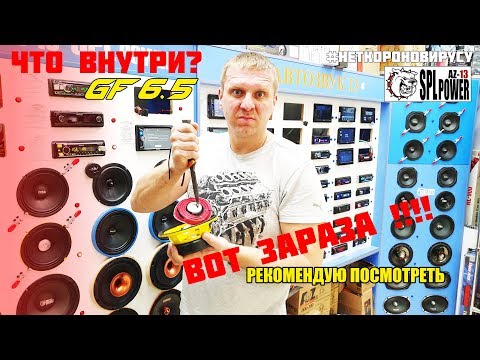 Видео: Режем динамик DARK DOG 6.5 GF.Что же у него внутри?Самый сбалансированный эстрадный динамик