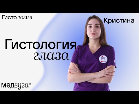 Видео: Развитие и строение зрительного анализатора | Гистология